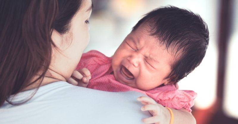 Shutterstock/A3pfamily